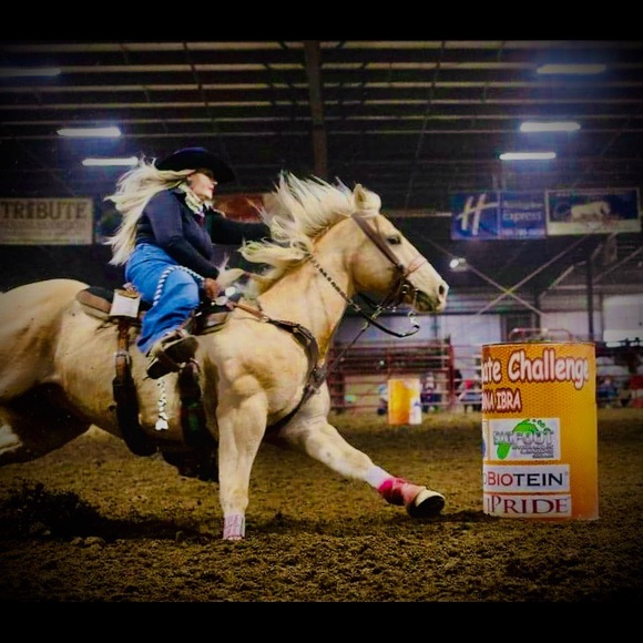 Meet your Posher, Sam - Picture 9 of 14